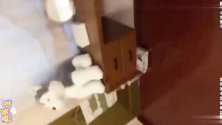 超级粉嫩水超多清纯大奶