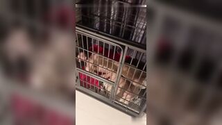 背着老婆在出租屋里养条母狗